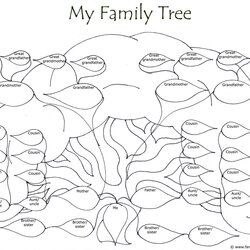 Eminent Family Tree Template With Siblings Drawing Color Uncles Aunts Cousins Templates Huge Chart Draw