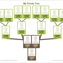 Preeminent Generation Family Tree Template With Siblings For Your Needs Source Photos Landscape