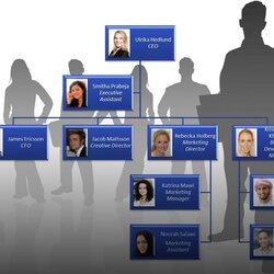 The Astounding How To Create An Org Chart In Within Organizational