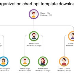 Admirable Organization Chart Template Download