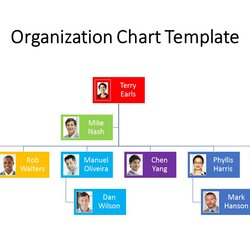 Org Chart Templates Colorful Organization Free Download Template