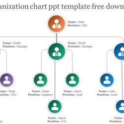 Marvelous Organization Chart Template For Presentation Free Download