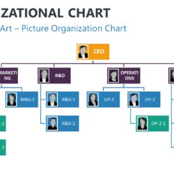 Excellent Organizational Charts For