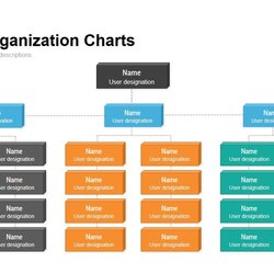 Worthy Creative Organization Chart Template For And Throughout Organizational Keynote Hierarchy