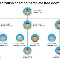 Sterling Download Organization Chart Template Free Google Slides Simple