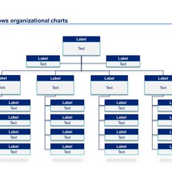 Terrific Organization Chart In Organizational Template Business Templates Plan Structure Visit Choose Board