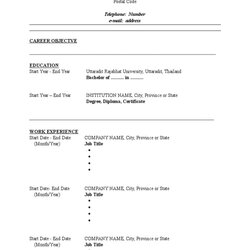 Perfect Resume Template