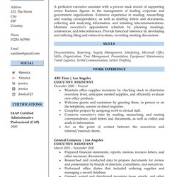 Superior Resume Samples For Free Sample Writing Professional Job Services Preview