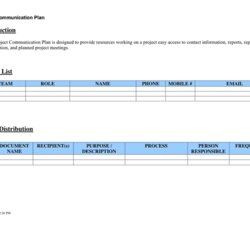 Admirable Project Management Plan Template In Word And Formats Page Of Communication