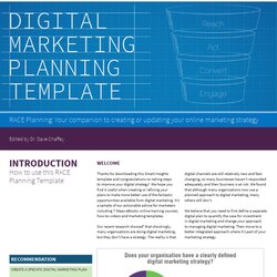 Eminent Digital Marketing Plan Examples In Ms Word Google Docs Example Template Business Professional Tips