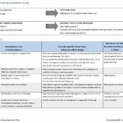 Preeminent Leadership Development Plan Template Action Example Personal Professional Sample Individual Plans