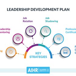 Personal Leadership Development Plan Strategies