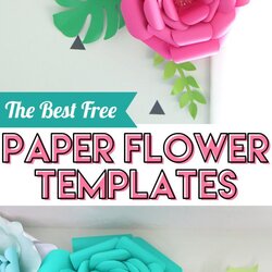Superlative Free Paper Flower Petal Template Marvelous Fascinating Templates Image