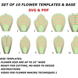 Large Paper Flower Template Bundle Silhouette Petal