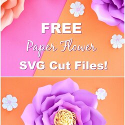 Cool Free Paper Flower Petal Template Marvelous Templates Example