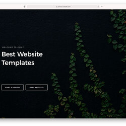 Splendid Best Website Templates