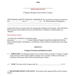 Magnificent Professional Operating Agreement Templates Template