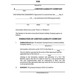 Champion Professional Operating Agreement Templates Template Lab