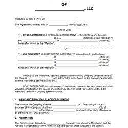 Smashing Free Operating Agreement Template Word Member Structure