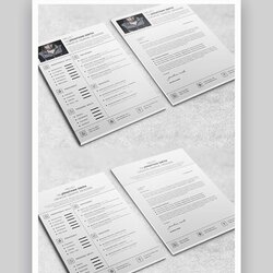 Out Of This World Best One Page Resume Templates Examples Template