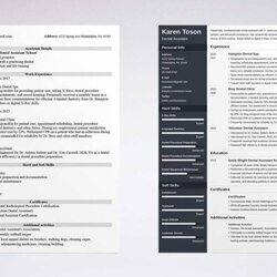 Marvelous One Page Resume Templates Examples To Download And Use Now
