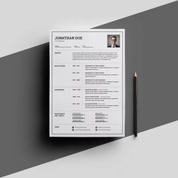 One Page Resume Templates To Fill In Download