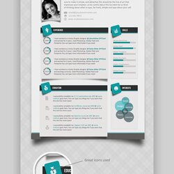 Best One Page Resume Templates Examples Clean Single Template
