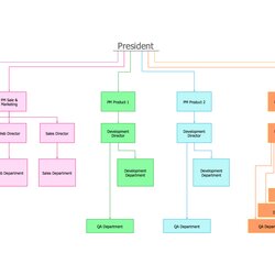 Terrific Organizational Chart Template Free Download Management Structure Business Flow Process Organization