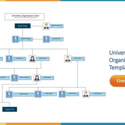 Preeminent Organizational Chart Templates By Slide