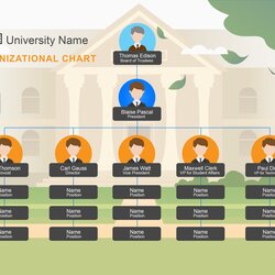 The Highest Standard Organizational Chart Templates Word Excel University Hierarchy Charts Printable Scaled