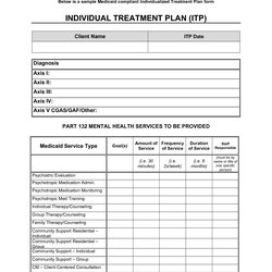 Cool Counseling Treatment Plan Template Mental Health Psychotherapy Templates Simple Sample Planning Examples