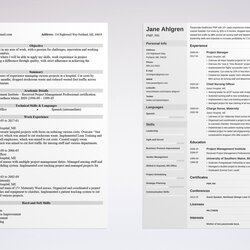 Capital Professional Chronological Resume Template Examples Complete Guide