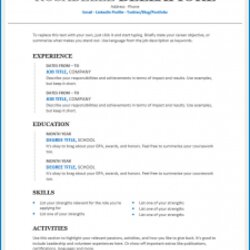 Eminent Free Printable Chronological Resume Template