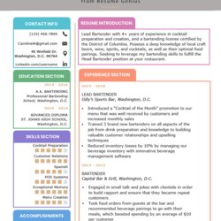 Very Good Chronological Resume Template Examples Writing Guide Example Format Sample Sections Structure