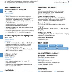 Chronological Resume Writing Guide With Free Templates Professional Template