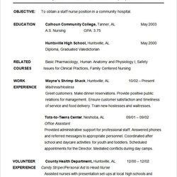 Marvelous Chronological Resume Template Free Samples Examples Format Sample Templates