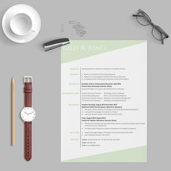 Brilliant Free Resume Templates Doc Premium Template Teachers Teacher Experienced Organized Structured Know