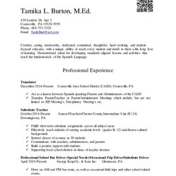 Supreme Teacher Resume