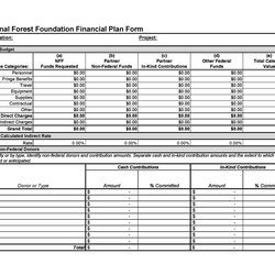 Professional Financial Plan Templates Personal Business Template Kb Samples