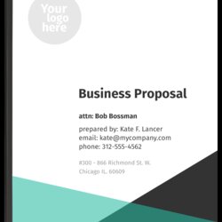 Business Proposal Template Freelancer Templates