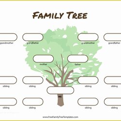 Cool Free Family Tree With Siblings Template Many Of Generation