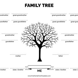Terrific Family Tree Templates For Free Doc Freebie Supply Siblings Template With