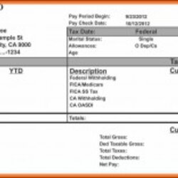 Wizard Pay Stub Template Excel Unforgettable Ideas