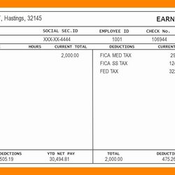 Legit Pay Stub Template Excel For Your Needs Check Stubs Printable Templates Employee Contractor Independent