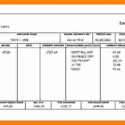 Fine Pay Stub Template Excel Of