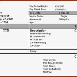Super Pay Stub Template Excel Resume Examples