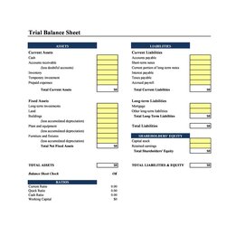 Brilliant Balance Sheet Template Free Word Templates