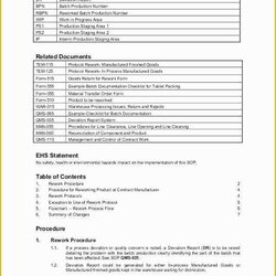 Sterling Work Instruction Template For Manufacturing Free Downloads Of Instructions Safe