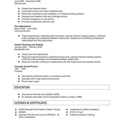 College Freshman Resume Template Business Example Student Letter Cover In