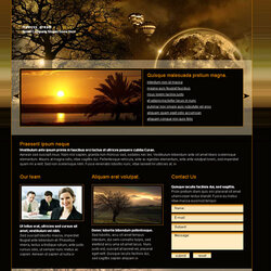 Perfect Free Flash Website Templates My